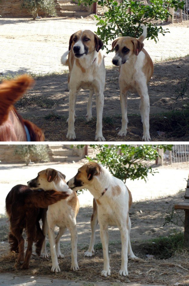tabuyuz01.jpg